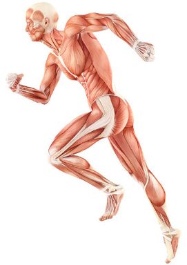Sárú ar dhímheas neuromuscular